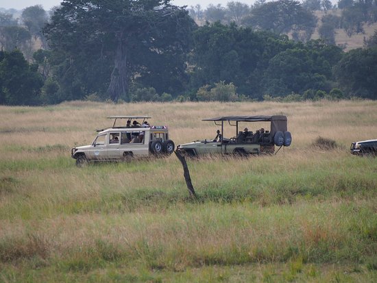 asilia truck and mt kilimanjar