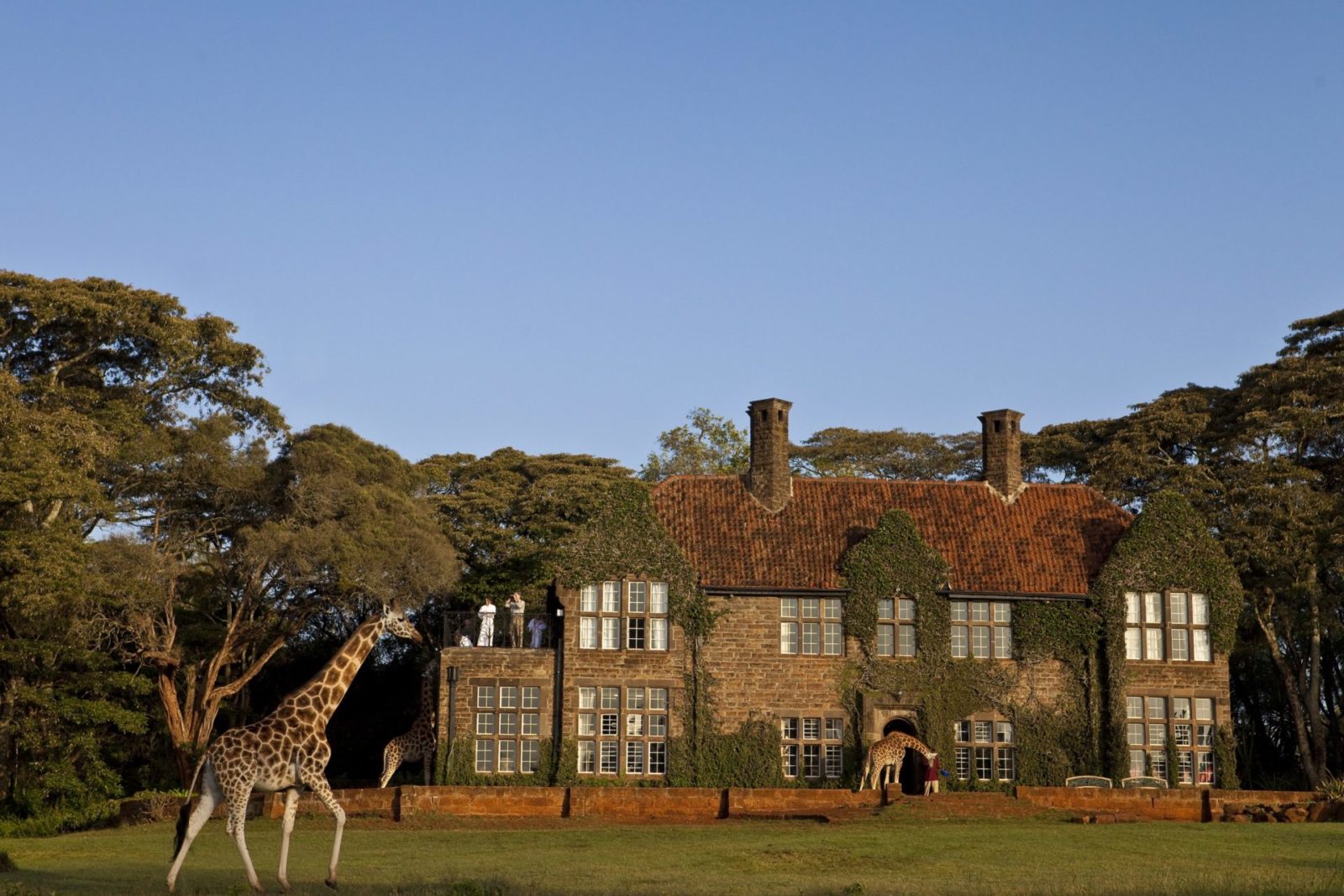 Giraffe Manor Exterior 7