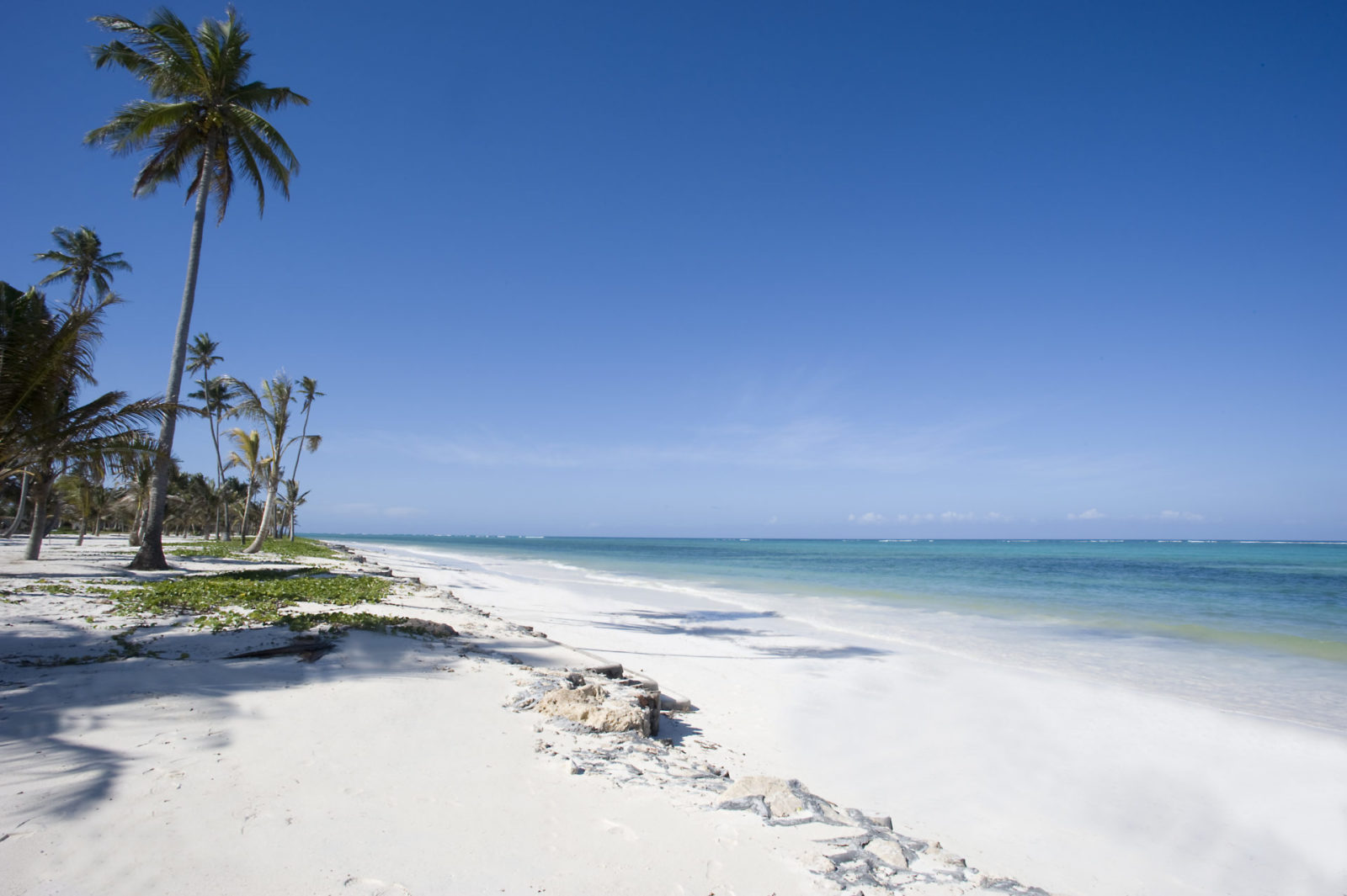 Baraza Resort & Spa 2 Pristine bwejuu beach