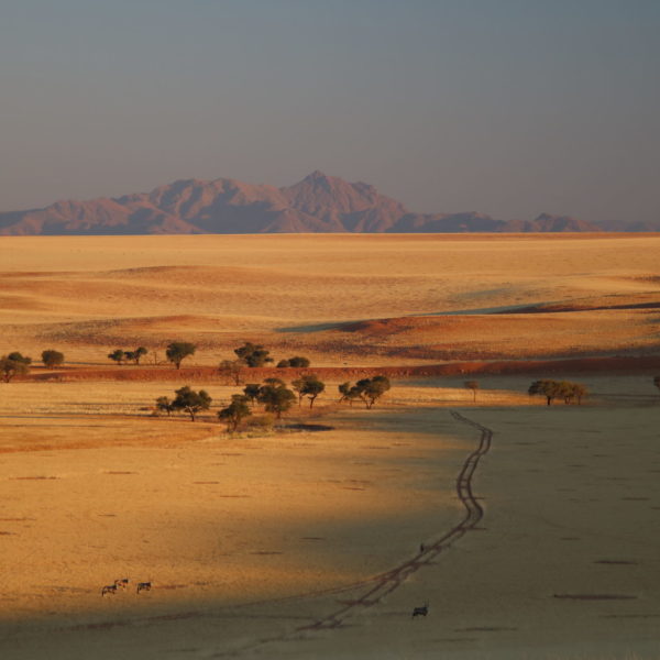 19 Kwessi Dunes - Landscape