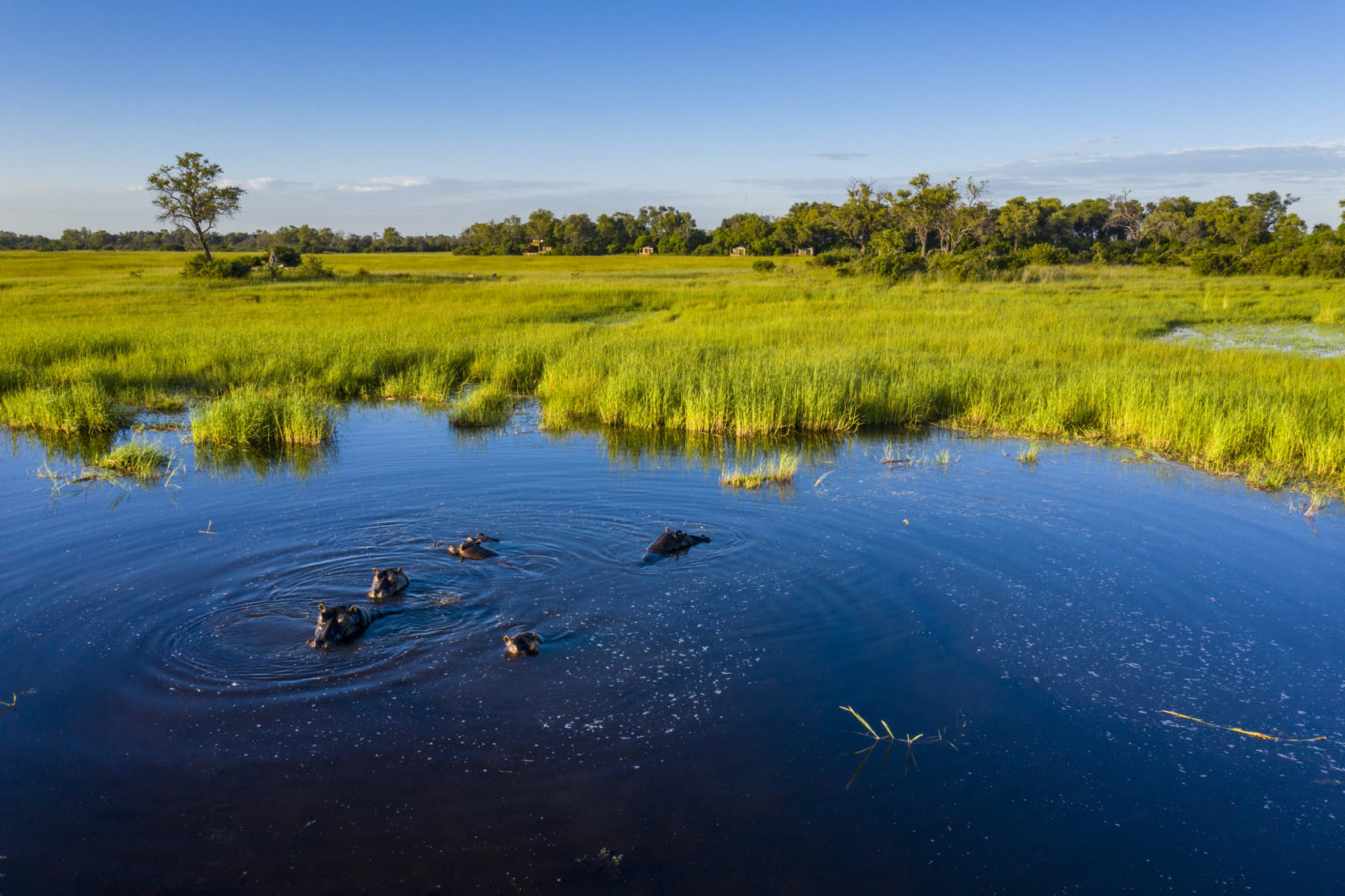 49 KPR Hippo Pool