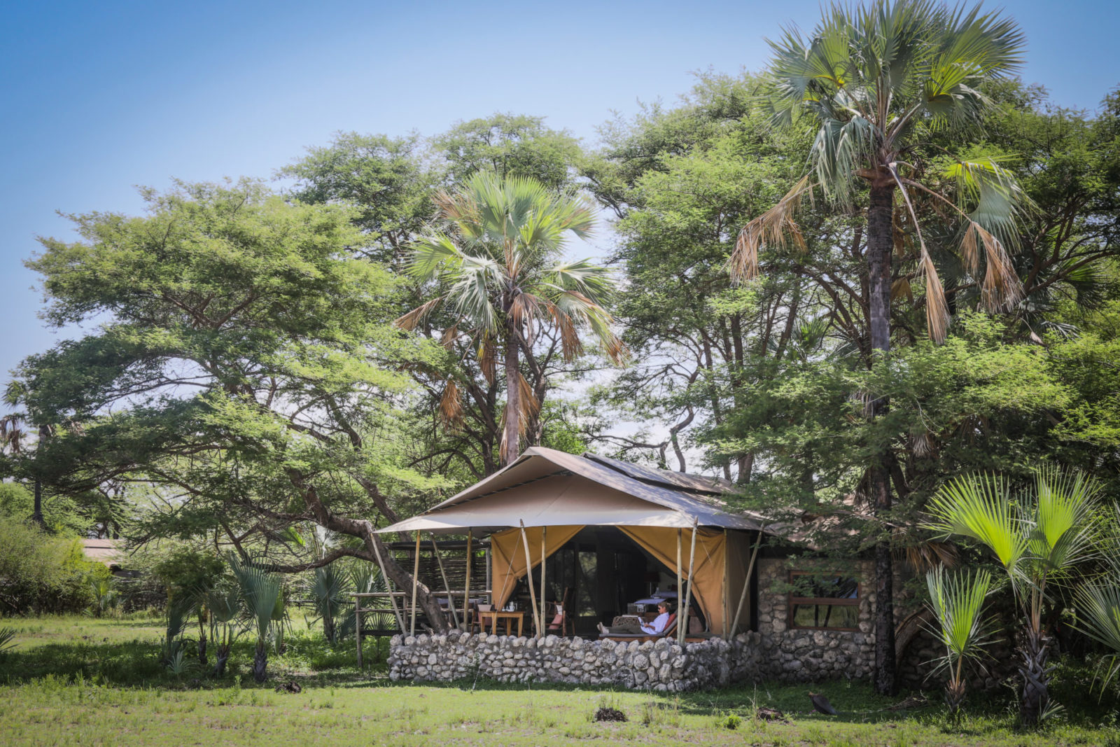 CHEM CHEM SAFARIS Chem Chem Lodge Exterior view of a Tented Suite Scott Ramsay