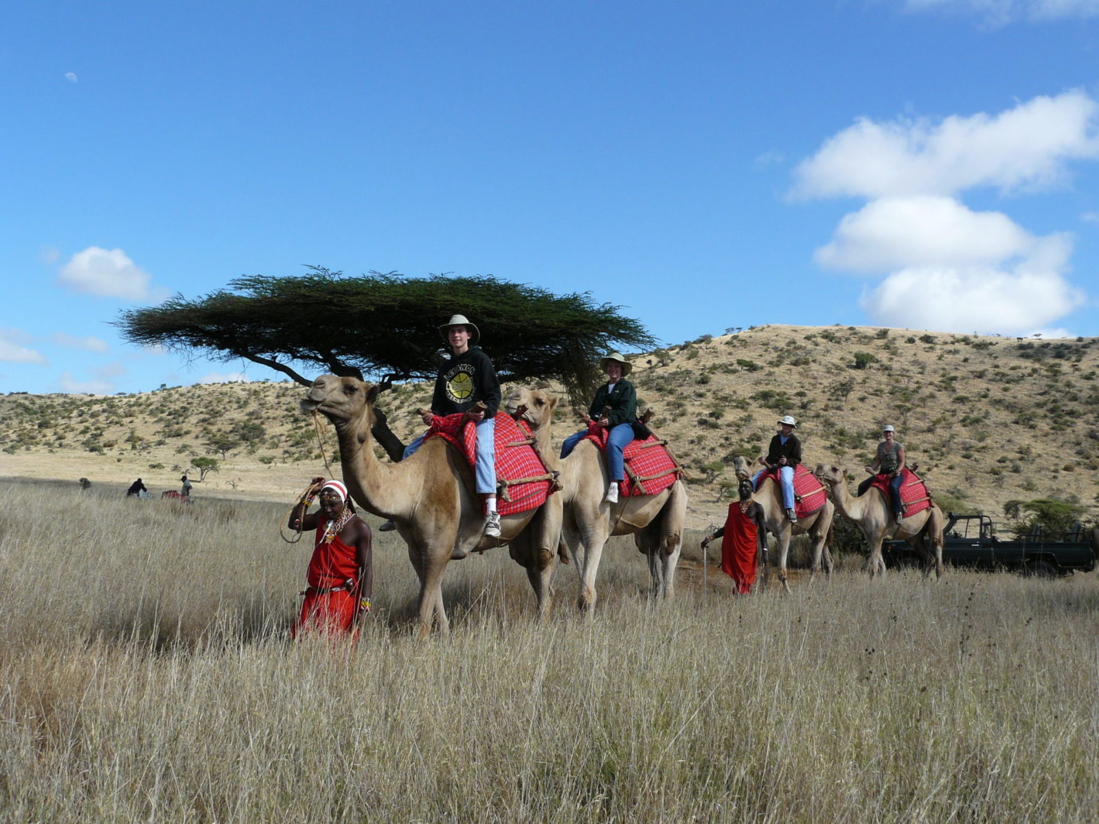 Camel rides
