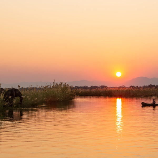 Tembo Plains Camp is tucked away into a thick riverine forest on the edge of the Zambezi River, in the private 128,000-hectare Sapi Private Reserve, east of Zimbabwe’s Mana Pools National Park.