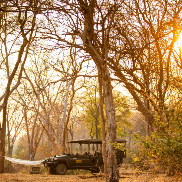 Tembo Plains Camp is tucked away into a thick riverine forest on the edge of the Zambezi River, in the private 128,000-hectare Sapi Private Reserve, east of Zimbabwe’s Mana Pools National Park.