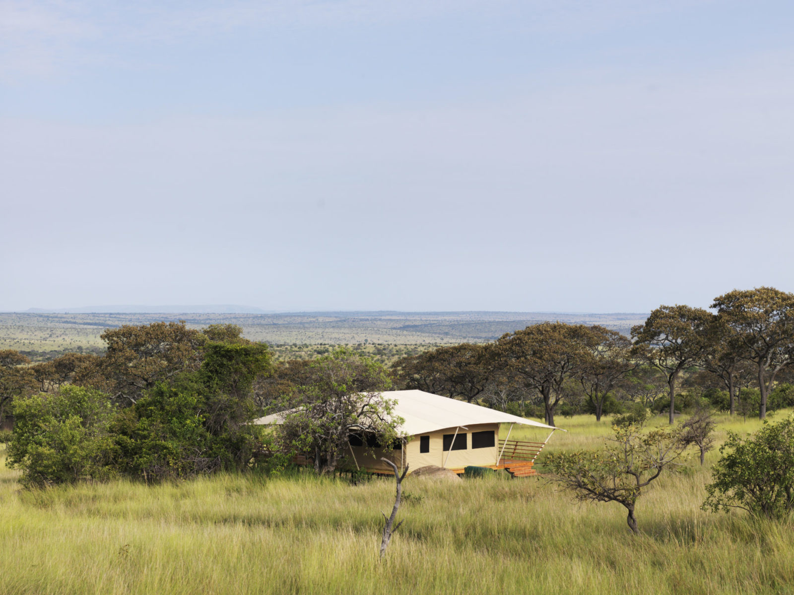Luxury Tent