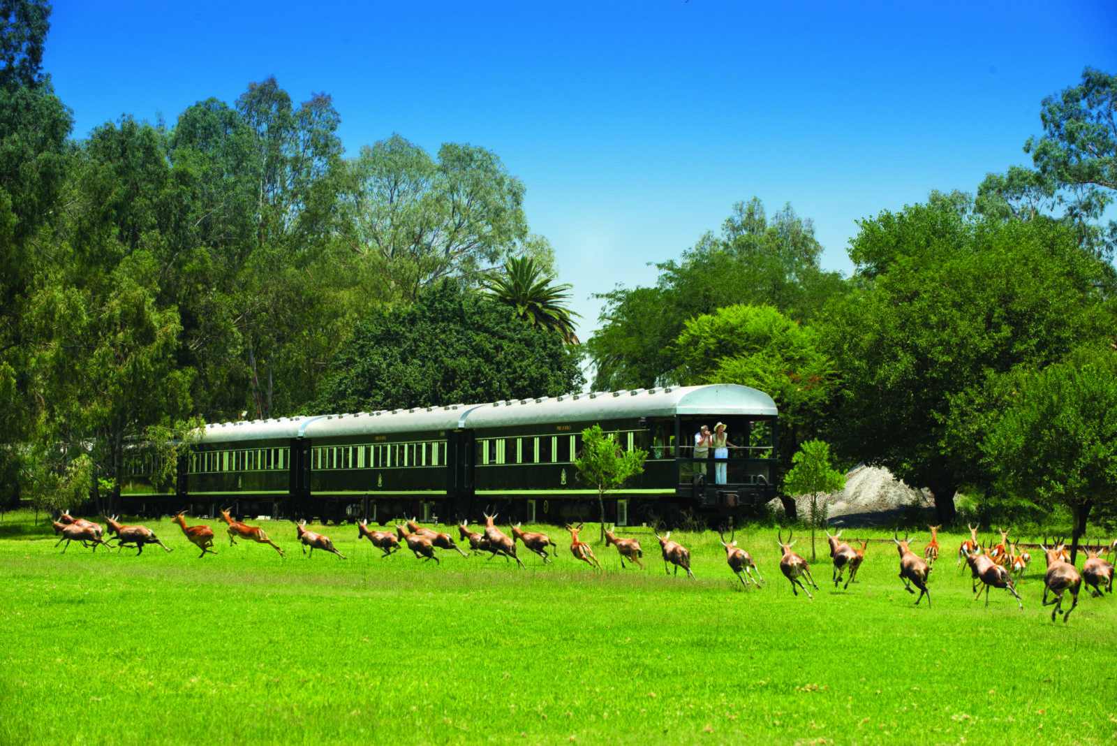 Rovos Rail 1 RVR ObsBalconyGame1a HRes