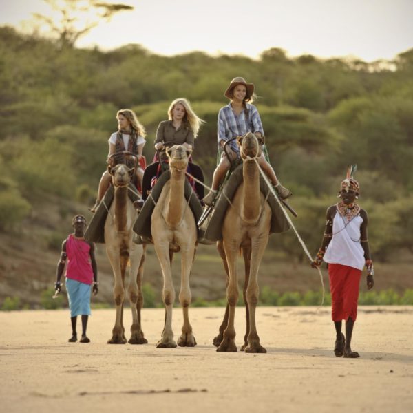 THE SAFARI COLLECTION - Sasaab - Camel back safari
