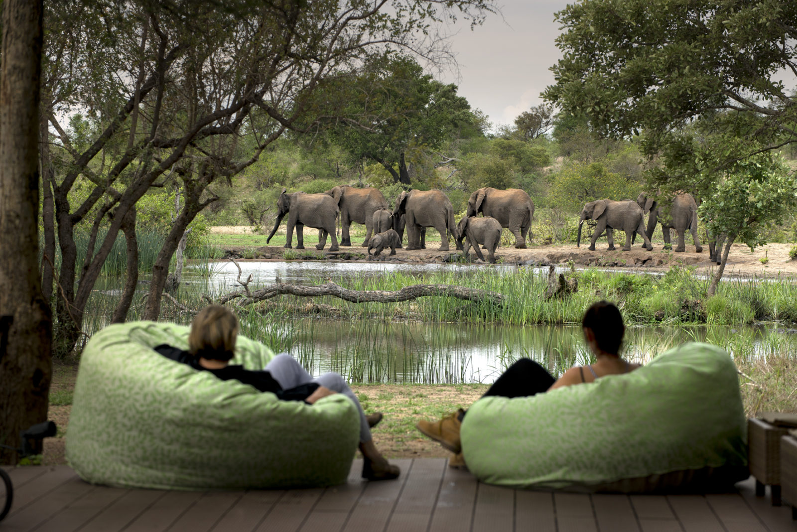 Tanda Tula 6 10. TANDA TULA SAFARI CAMP RELAXATION