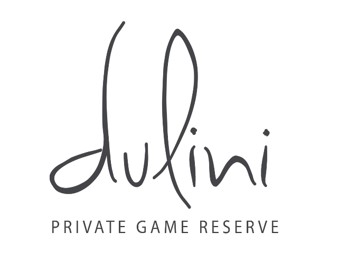 Dulini logo