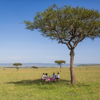 Image showing bush picnic setup at Angama Mara | luxury African safaris with TrueAfrica Safaris The Safari Company | blog