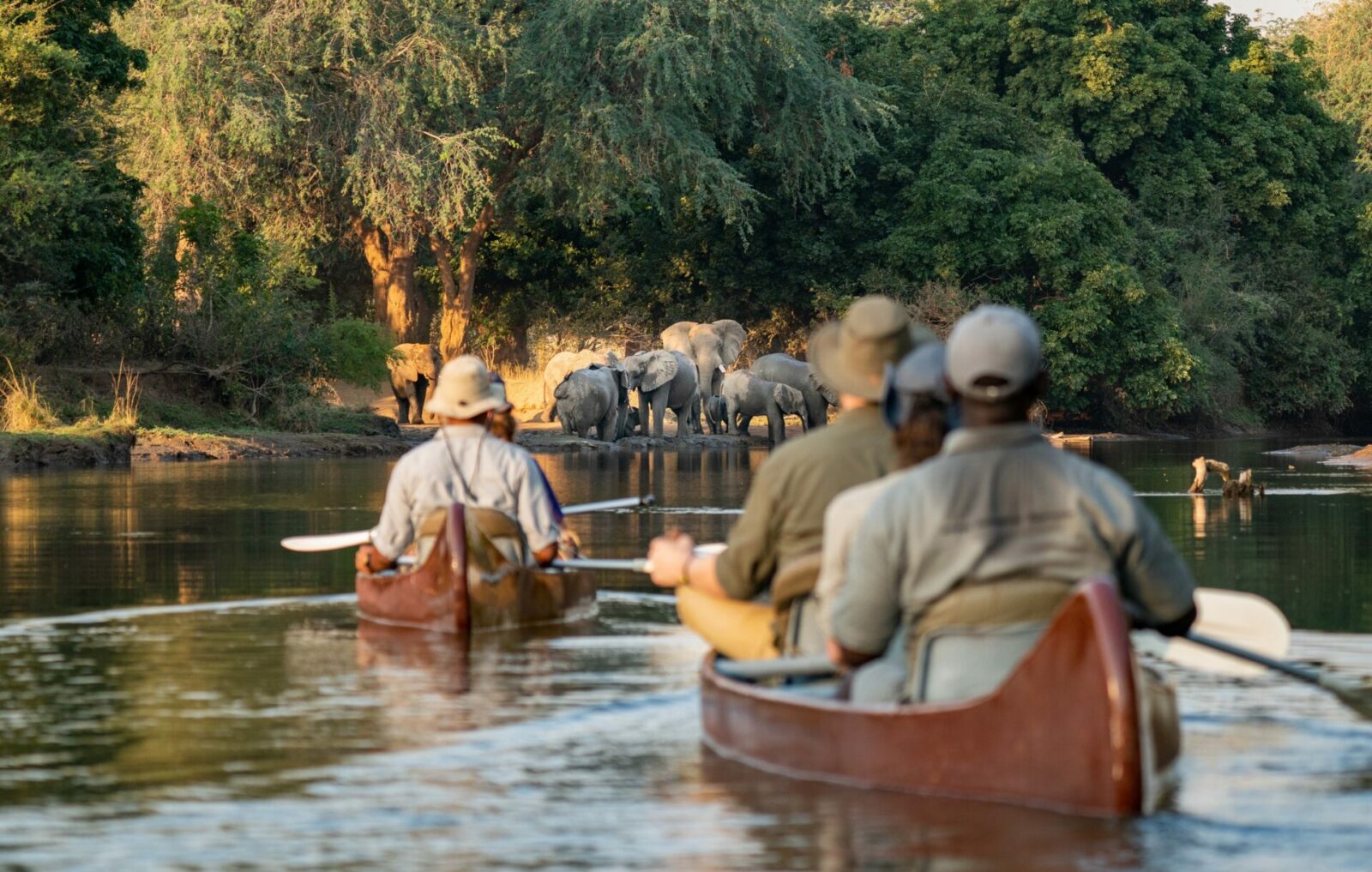 Image of canoeing at Chongwe Camp in the Lower Zambezi National Park. 2 Canoes are visible each carrying a guest and guide. A herd of elephants can be seen on the river bank. Courtesy of Time + Tide | True Africa | Blog | Time + Tide