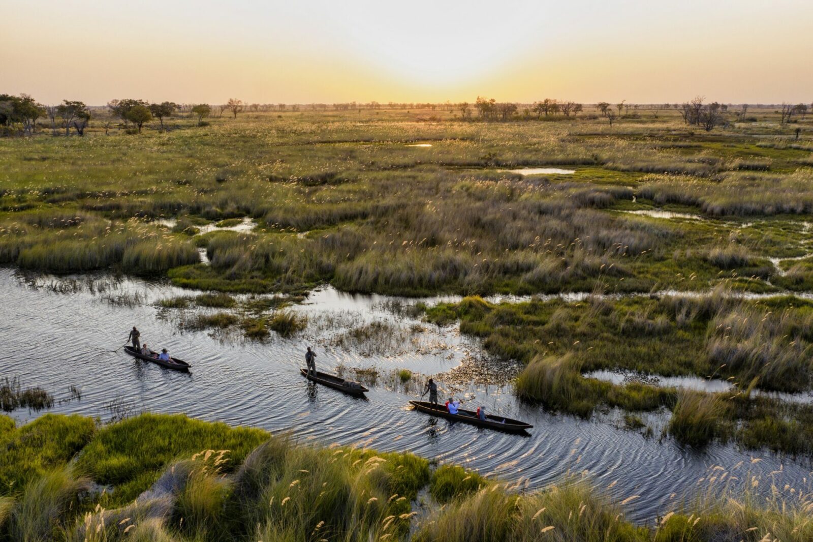 Image of 3 canoes holding guests and guides exploring the  Okavango Delta in Botswana. The river has light ripples and the bush is visible on either side of the water. Courtesy of Natural Selection | TrueAfrica | Blog | Natural Selection