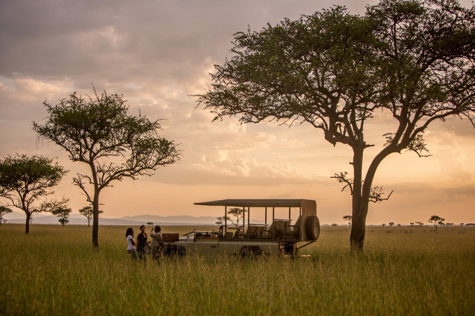 Image of an open-sided safari vehicle parked under the trees in the African bush. 2 guests and a guide can be seen outside the vehicle. Courtesy of Singita | TrueAfrica | Blog | Singita