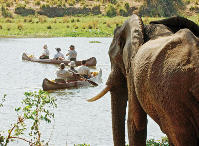 Image of an elephant overlooking the Chongwe River in Zambia, with guests visible in canoes floating on the river | True Africa | Blog | Chongwe River, Zambia