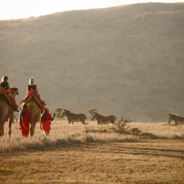 Lewa Safari Camp - Camel Trekking