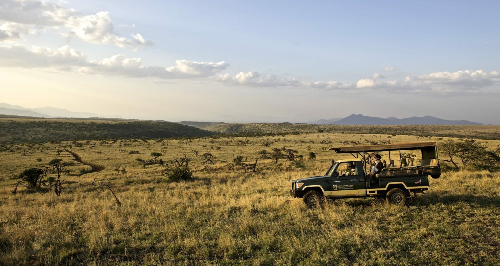 game drive on safari in africa