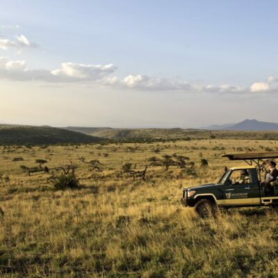 game drive on safari in africa