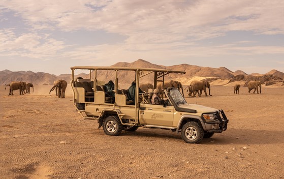 travellers in a rugged landscape on safari watching elephants