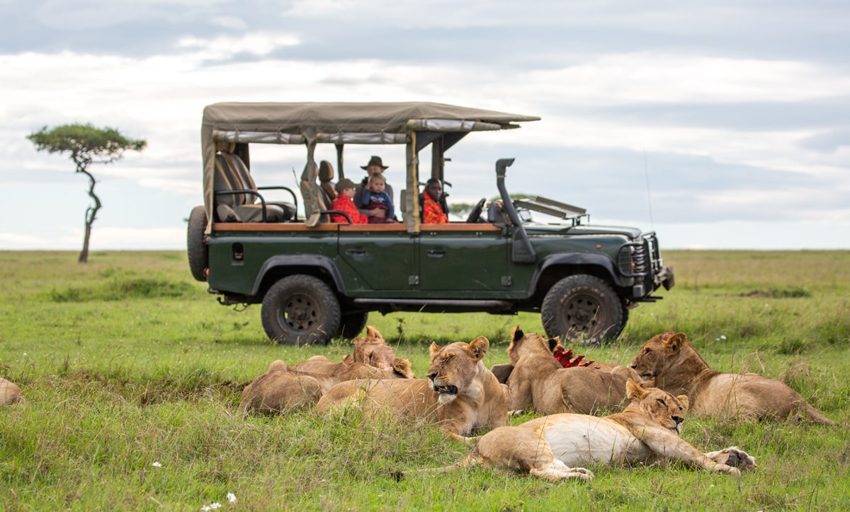 7.Game drives at House in the Wild