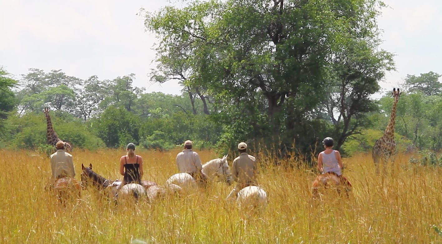 a safari horsback ride in the bush with their guide looking at giraffe