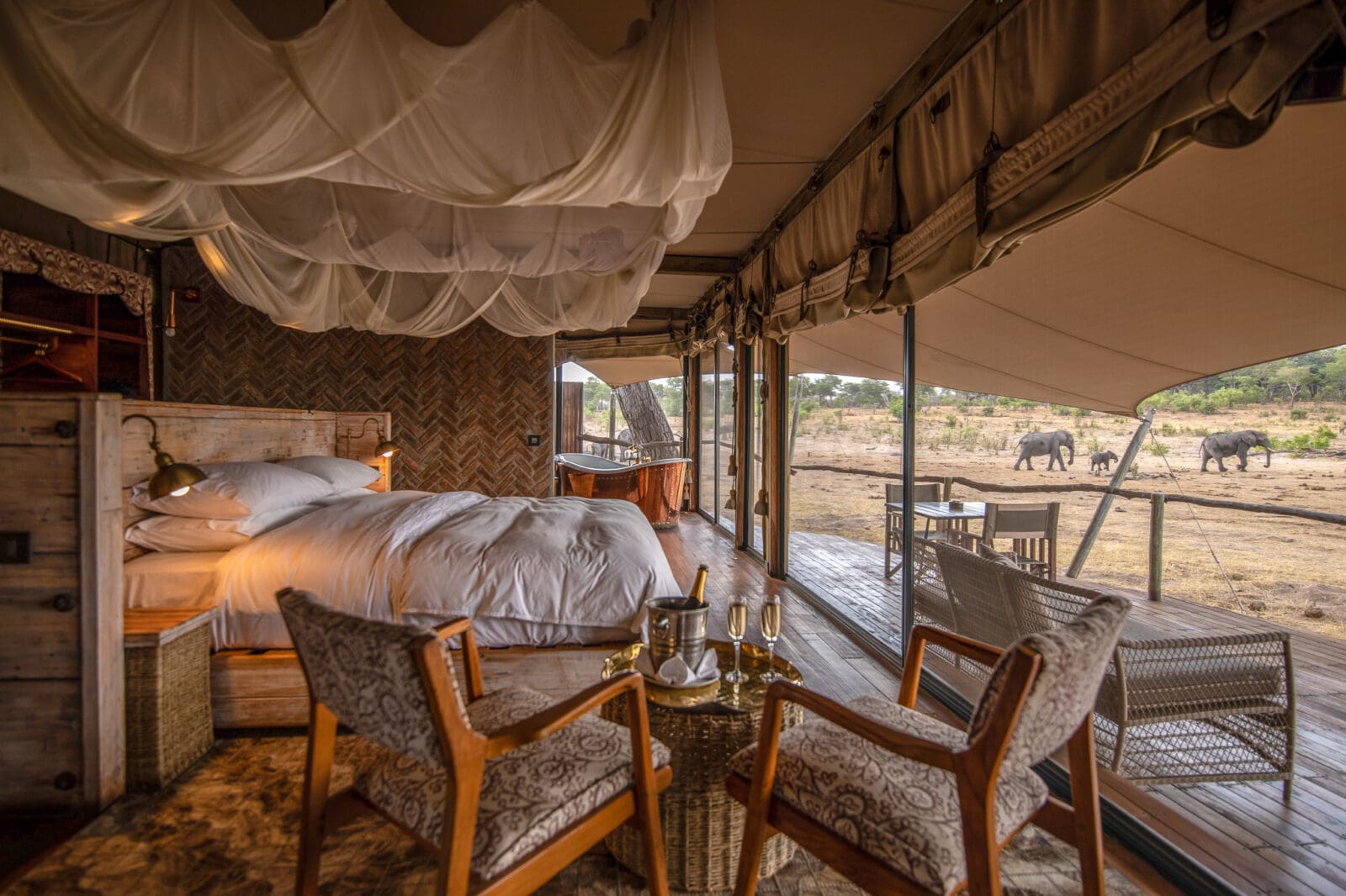 view from the inside of bushcamp bedroom overlooking wildlife in the bush