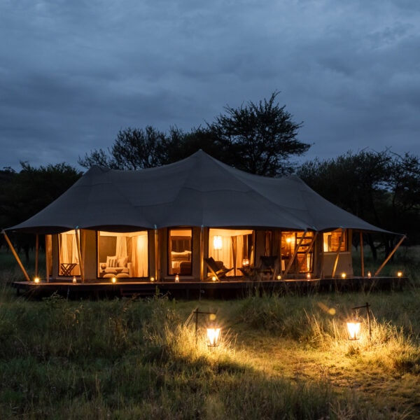 21-Cherero-Camp-guest-tent-at-dusk
